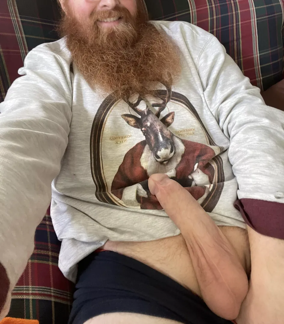 Gingerbeard man here with a snack