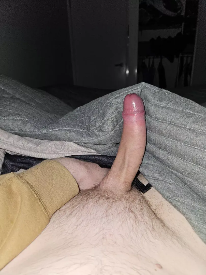 Give it a lick