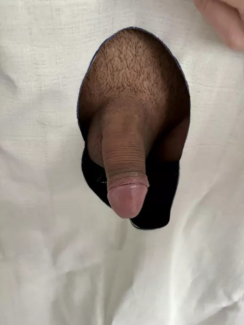 Gloryhole Fun