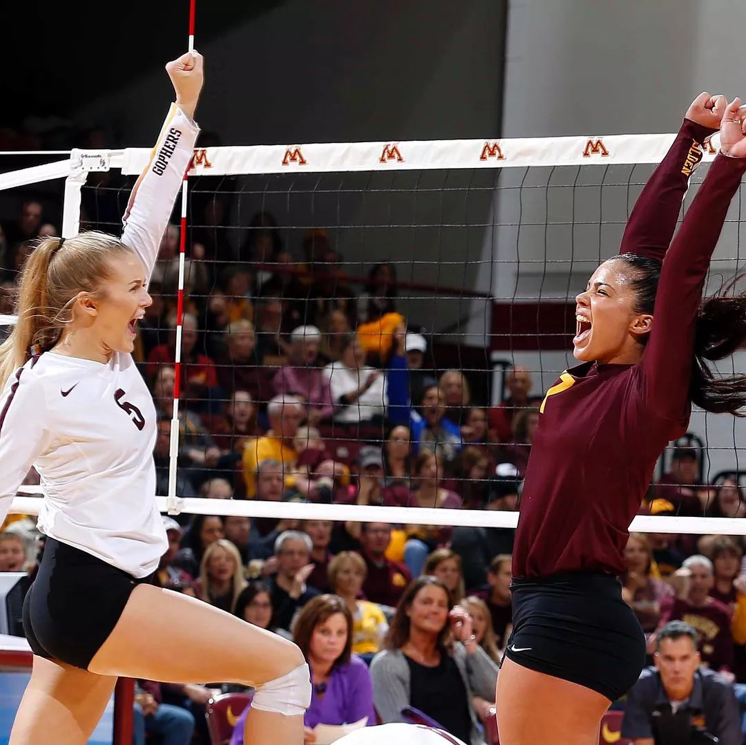Go Gophers