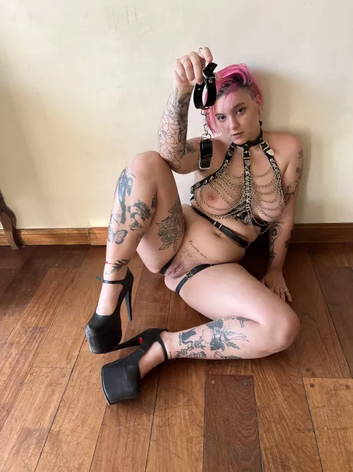 Go on your knees and worship me slave