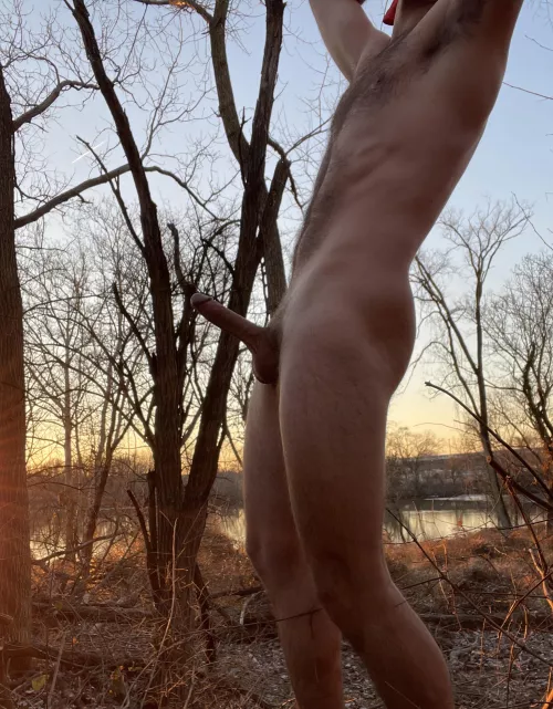 Golden Hour Magic