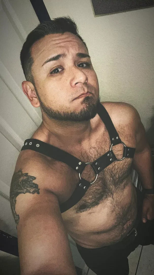 Good afternoon