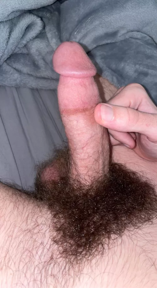 Good afternoon y’all