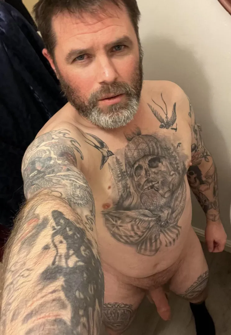 Good evening