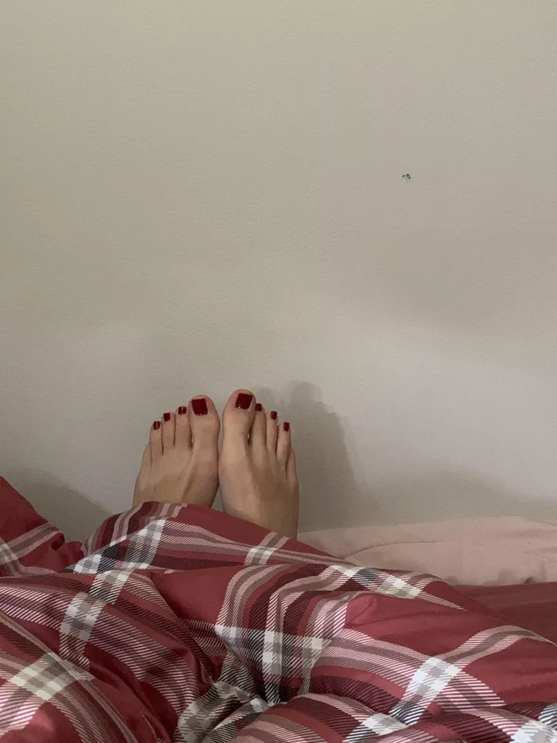 good morning :3