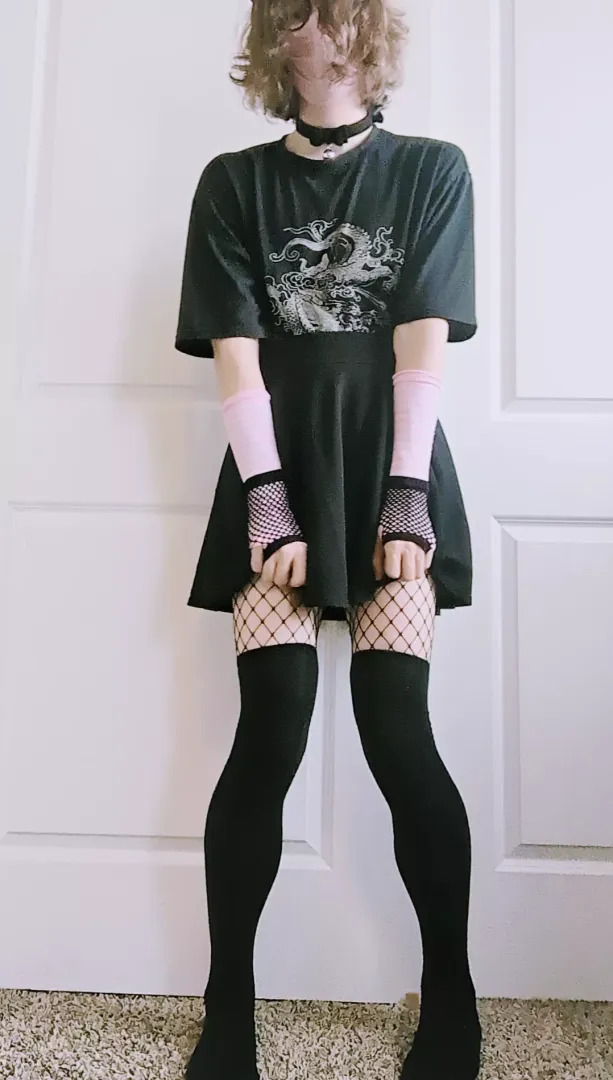 good morning :3