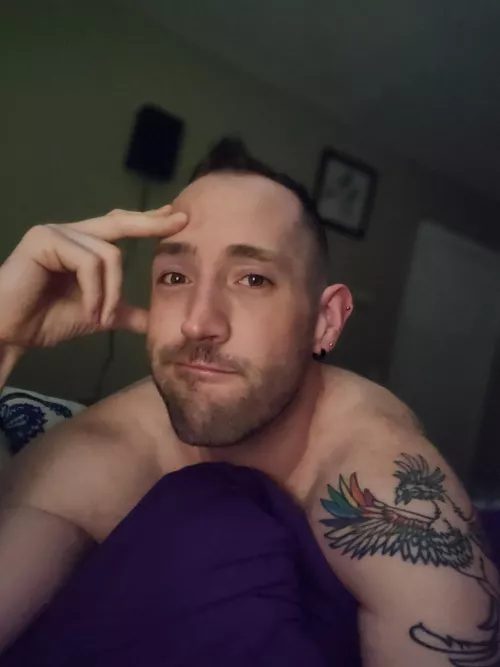 good morning Mr.