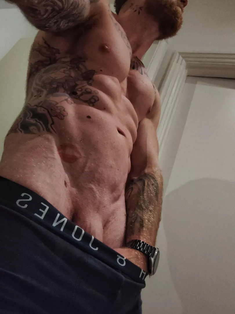 Good morning reddit, what's good today?