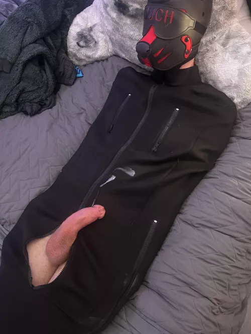 Got a cute puppy in a sleep sack… who wants to be next