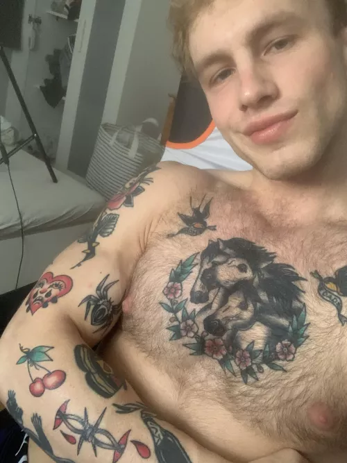 Got a few new ones recently!