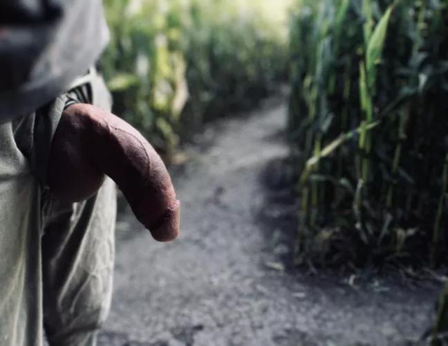 Got a little lost in the corn maze. Happy Halloween everyone.