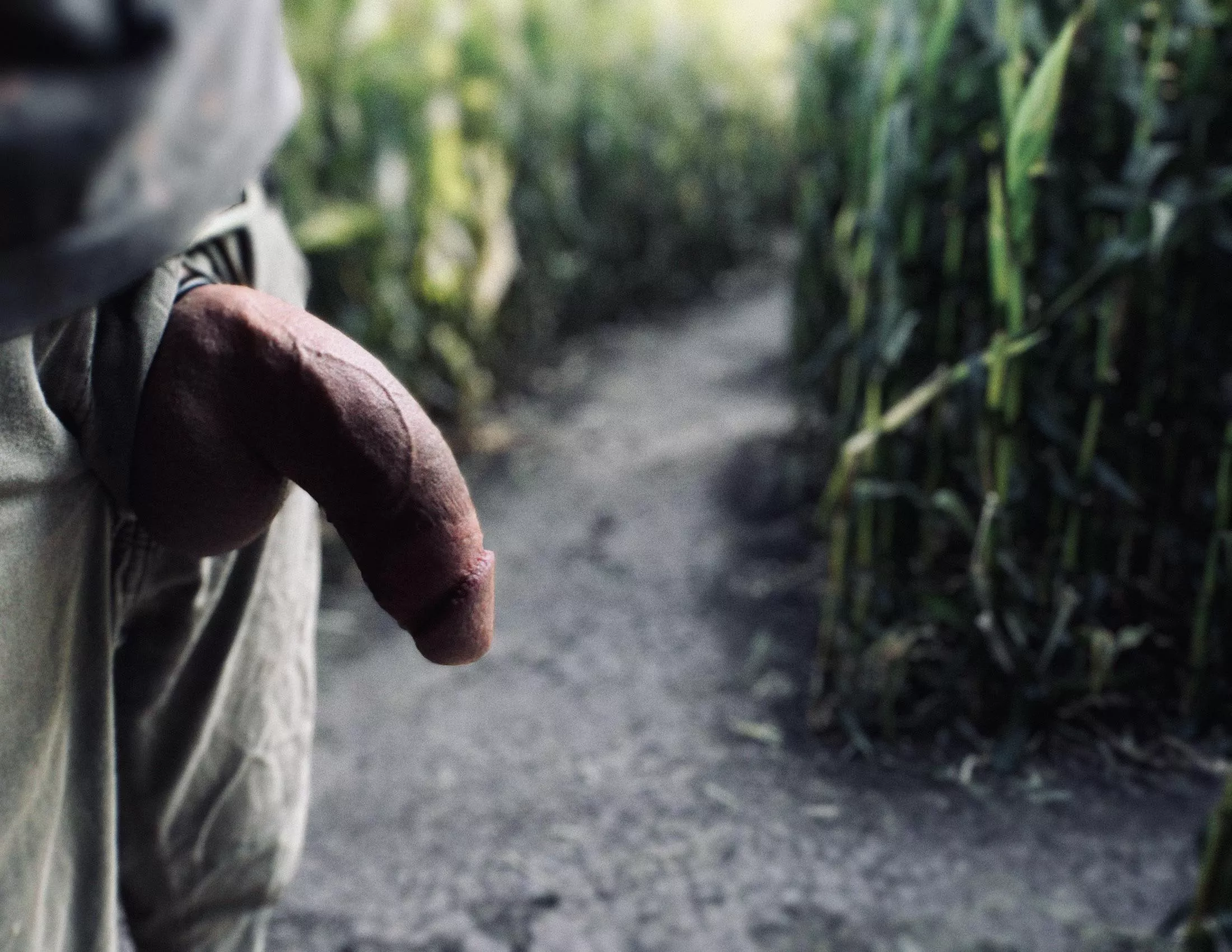 Got a little lost in the corn maze. Happy Halloween everyone.