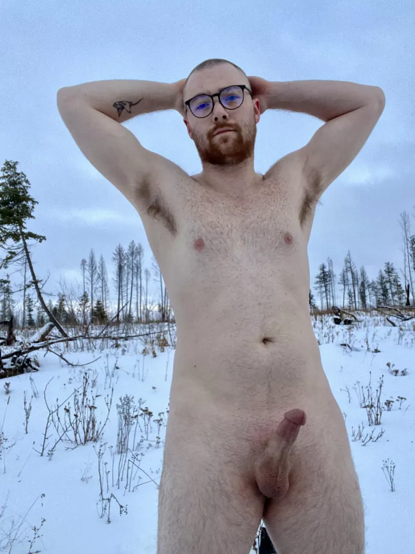Got lost sledding in the forest today