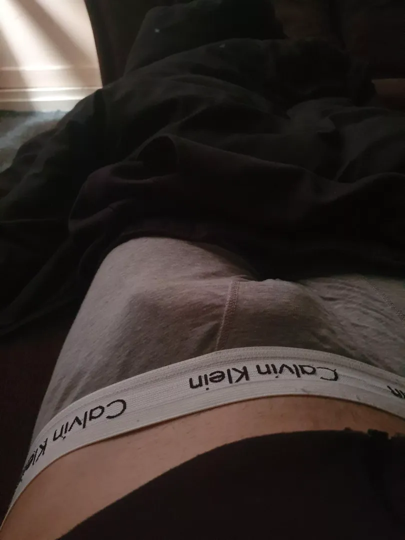 Grey cks