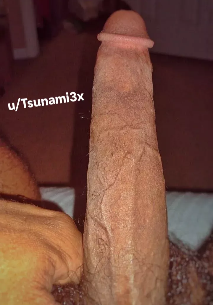 Guess My Size 📏