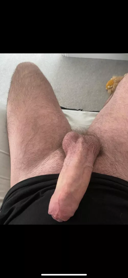 Guess my size