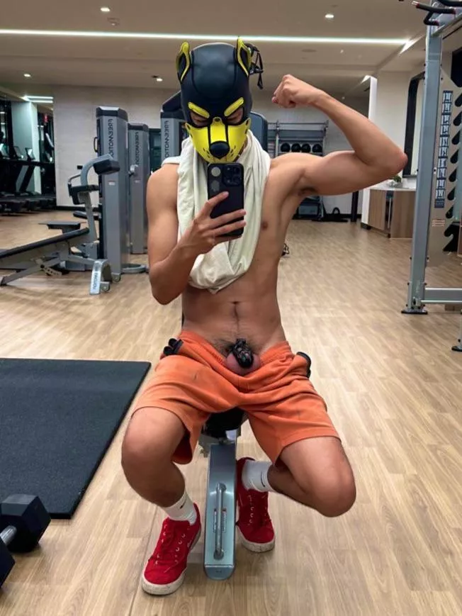 Gymdog™️