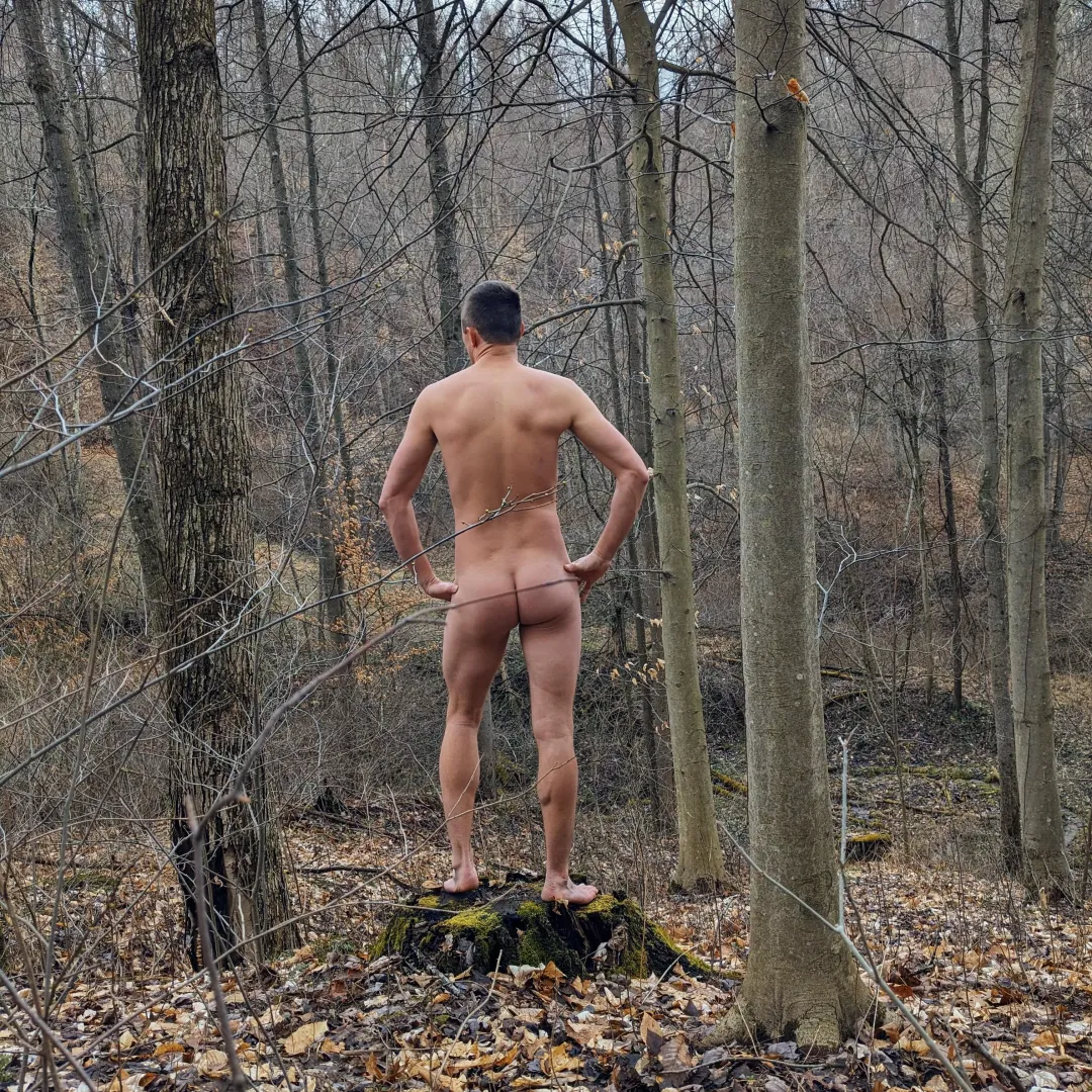 Had a great walk in the woods this morning!