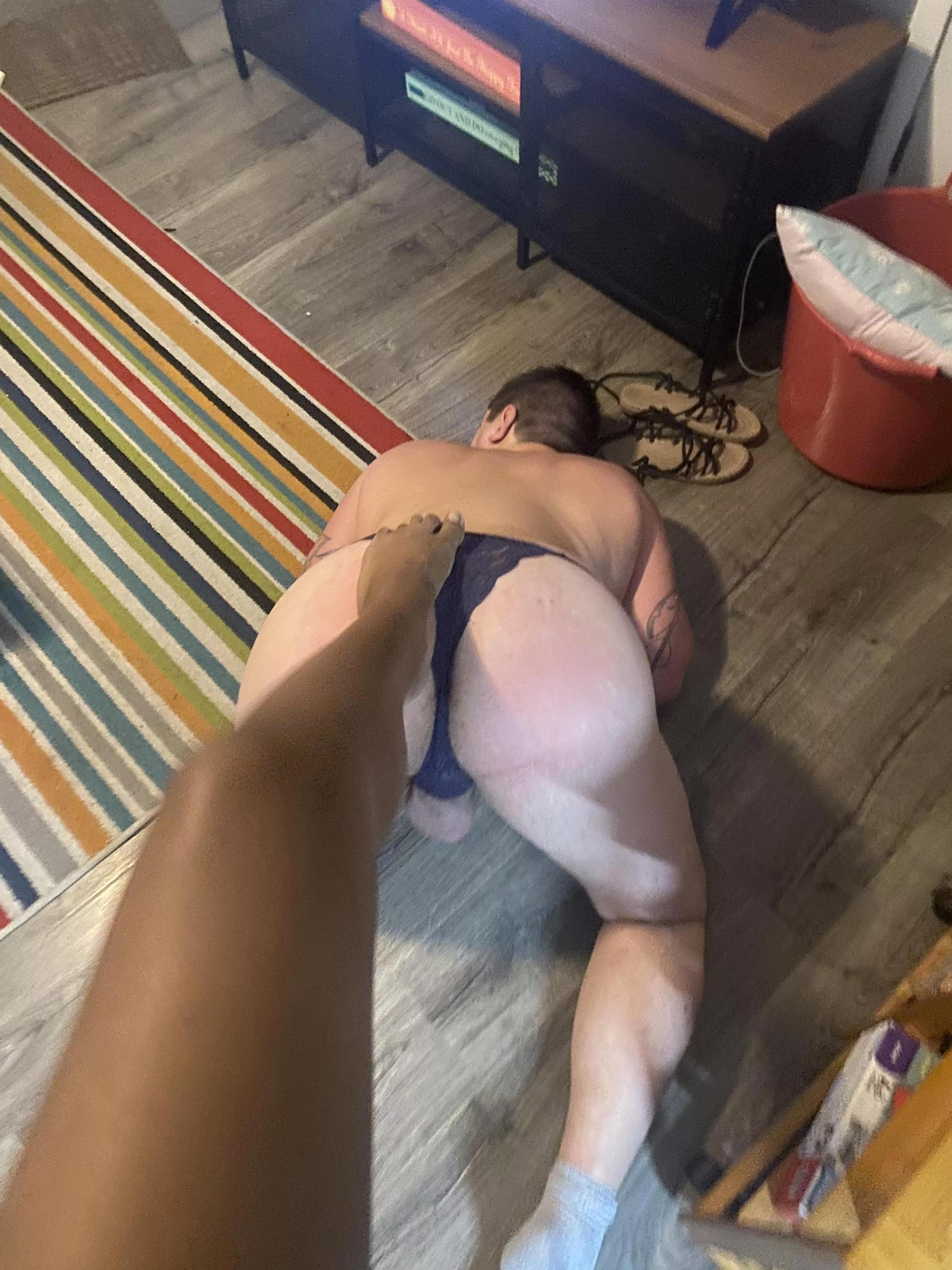 Haha any more piggies out there