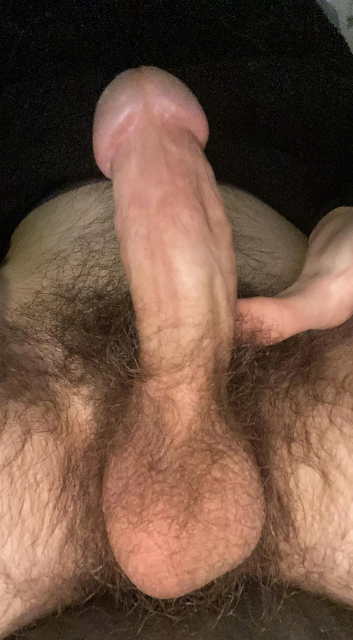 hairy 19 y/o cock to brighten your day