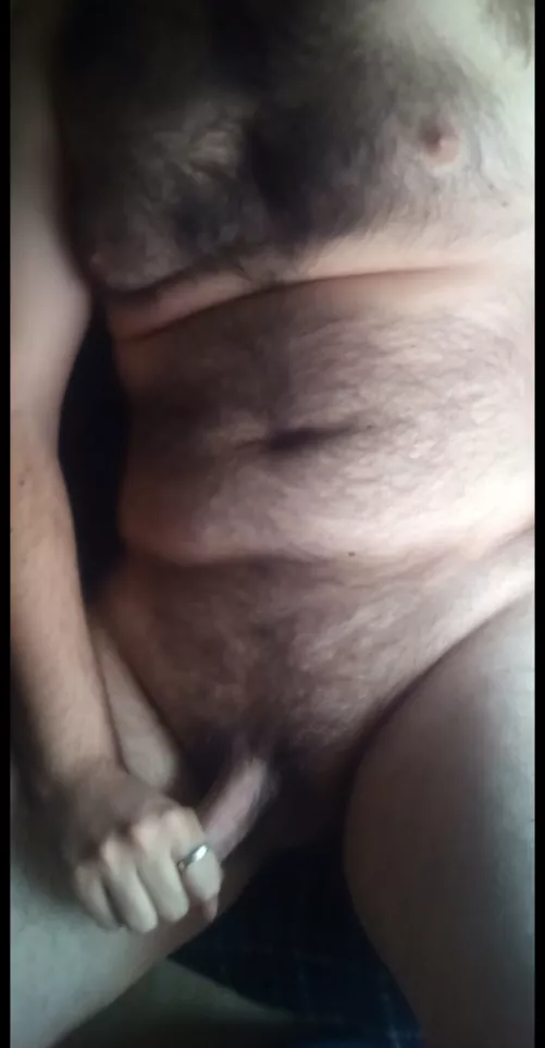 Hairy 6'4 tall bear offers some warmth for the cold winter 🔥