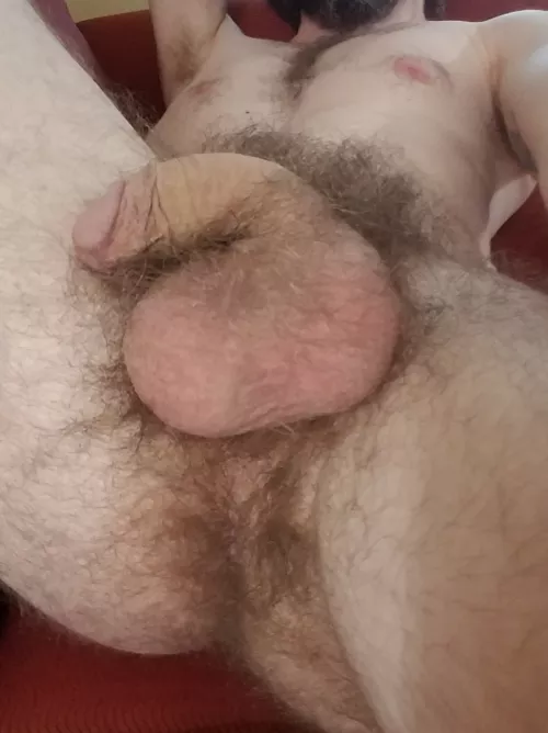 hairy all over [34]