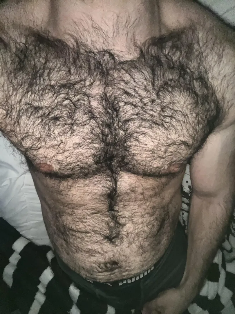Hairy all over 🐻