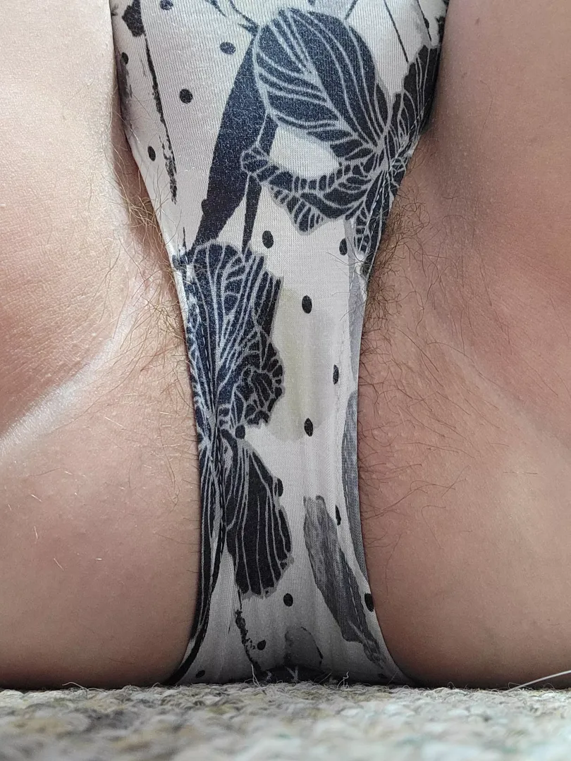hairy and wet 
