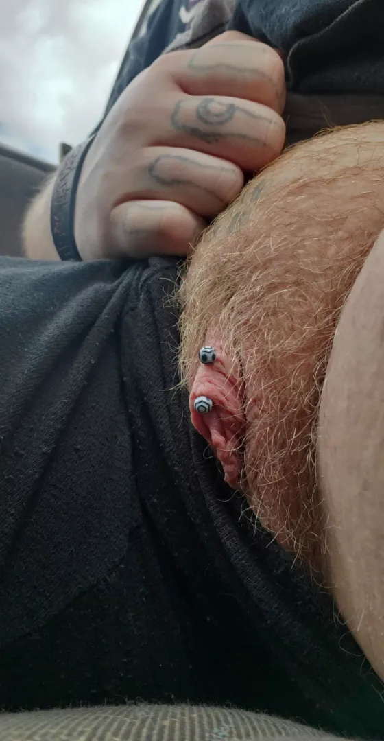 Hairy blonde pussy...I haven't shaved in 2 months 🥴 should I keep going?