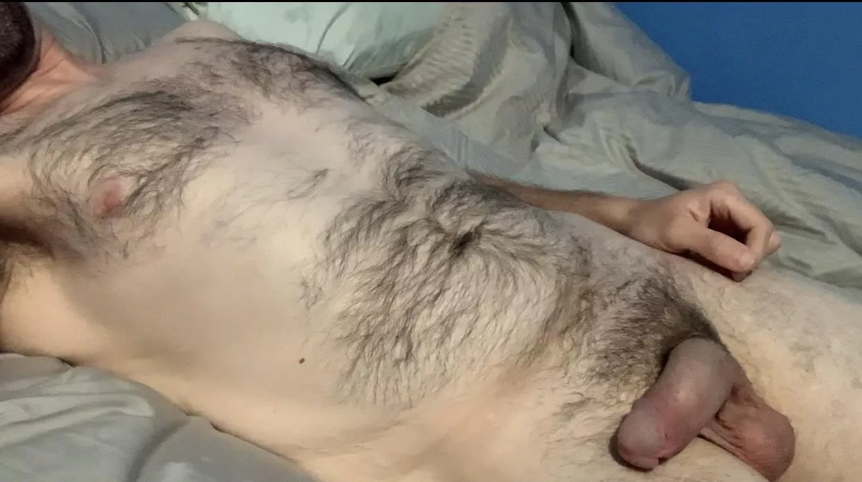 Hairy Chest Soft Cock