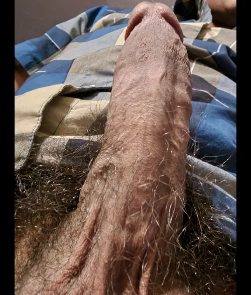 hairy cock in your face what do you do?