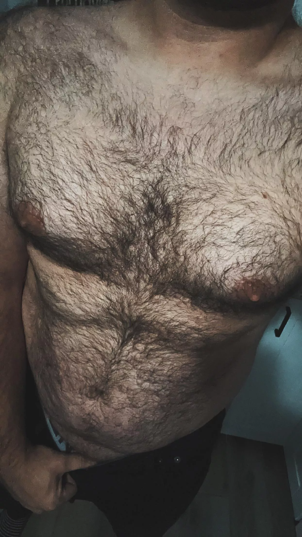 Hairy cub