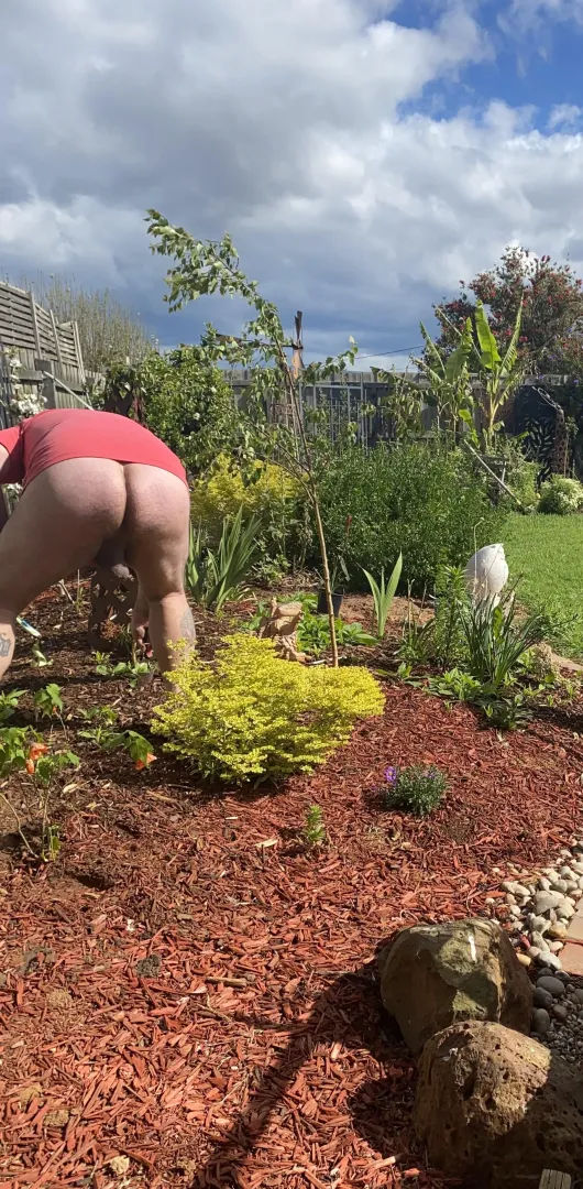 Hairy dads ass