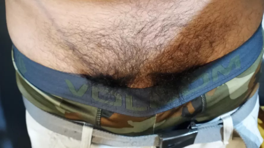 Hairy Dick Root