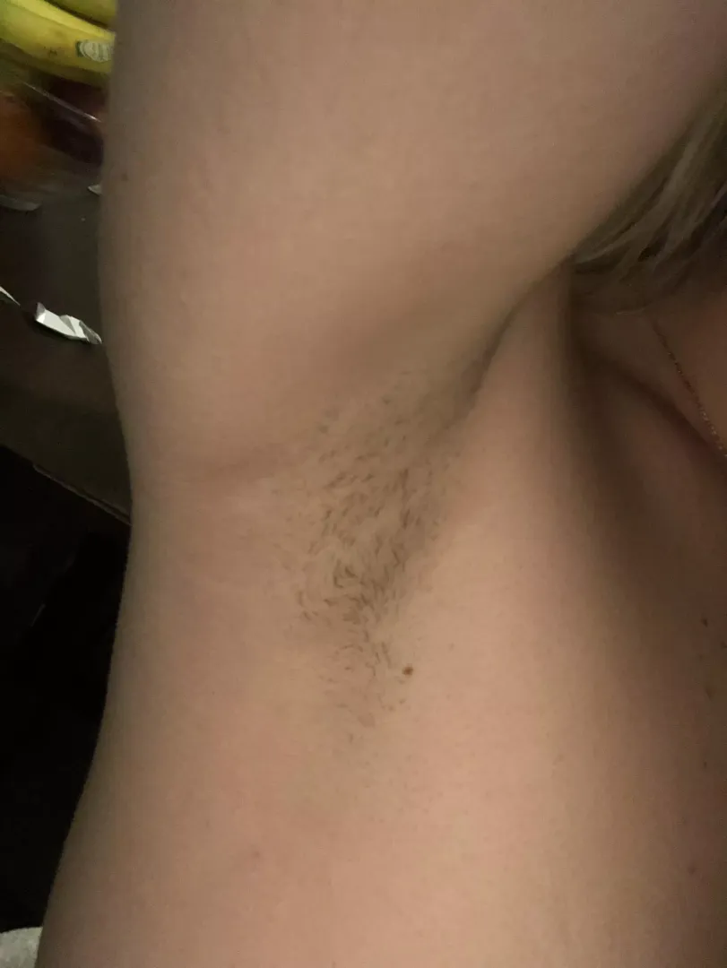 Hairy hihi