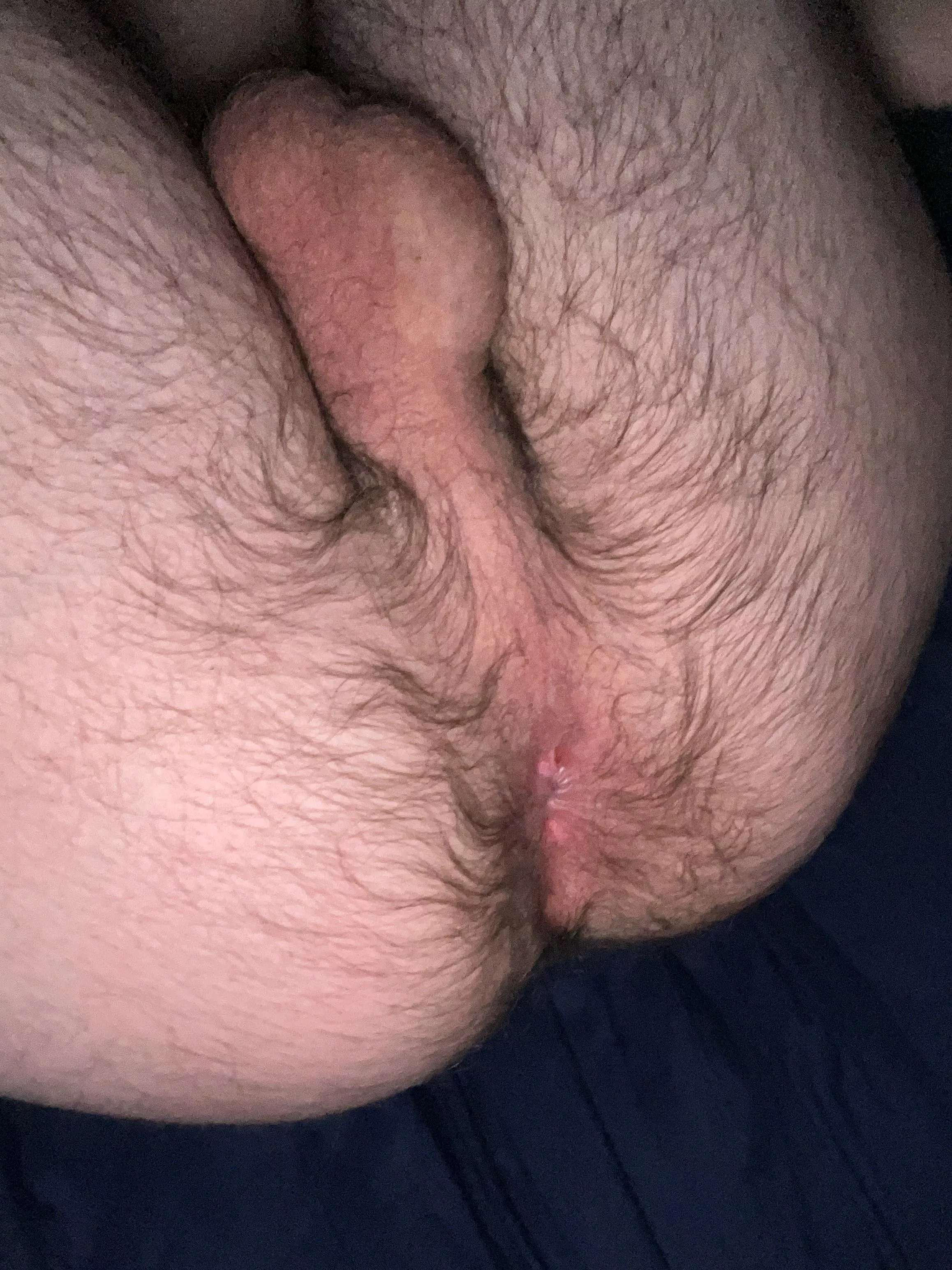 Hairy hole waiting for a hairy cock