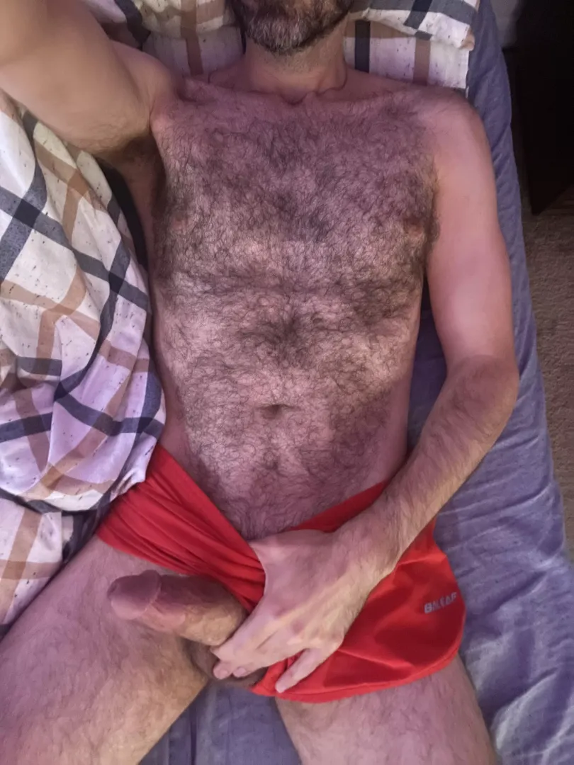 Hairy Horny Hard Daddy
