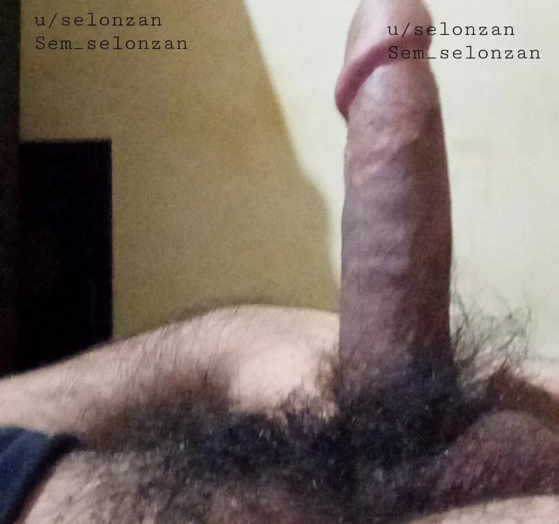 Hairy 🍆💥m(24)