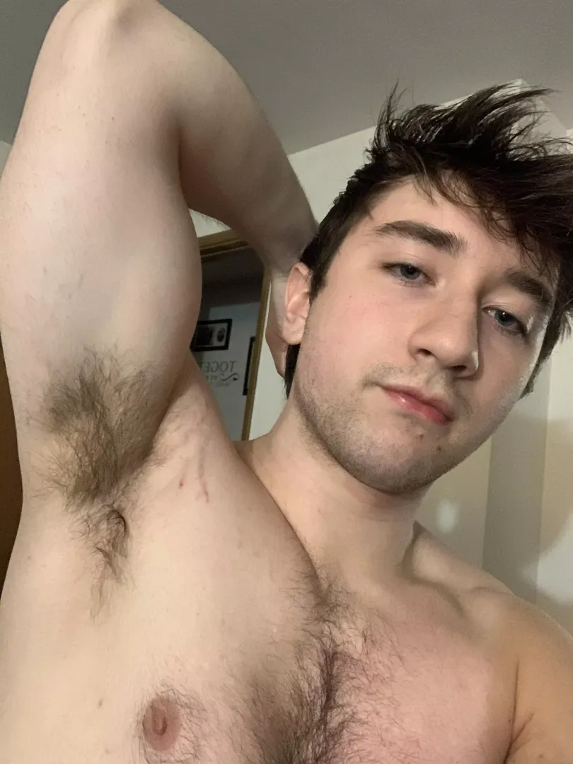 HAIRY MALE ARMPIT