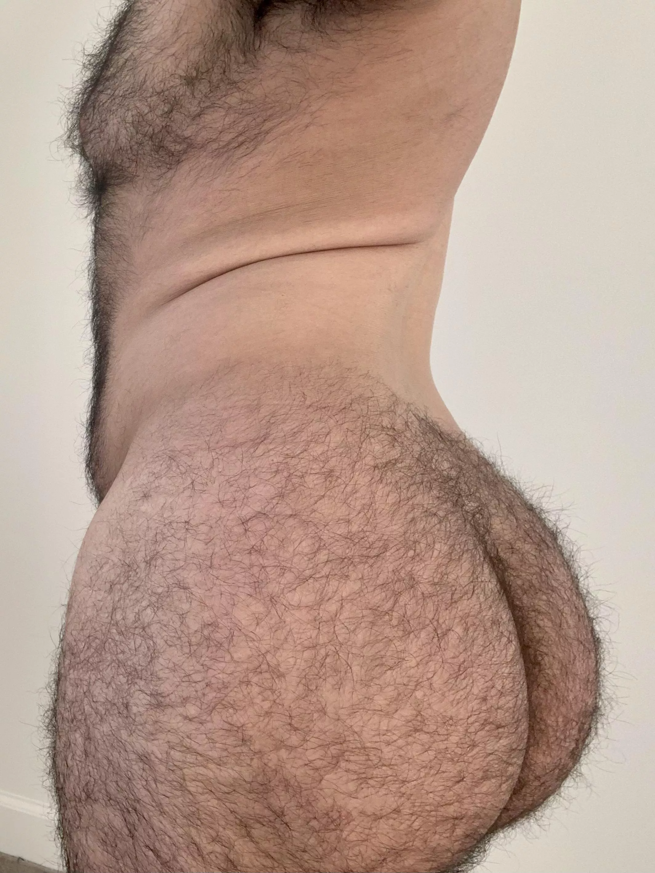 HAIRY MAN ASS.