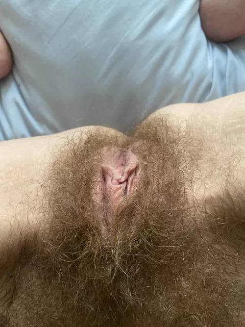 Hairy pussy treat