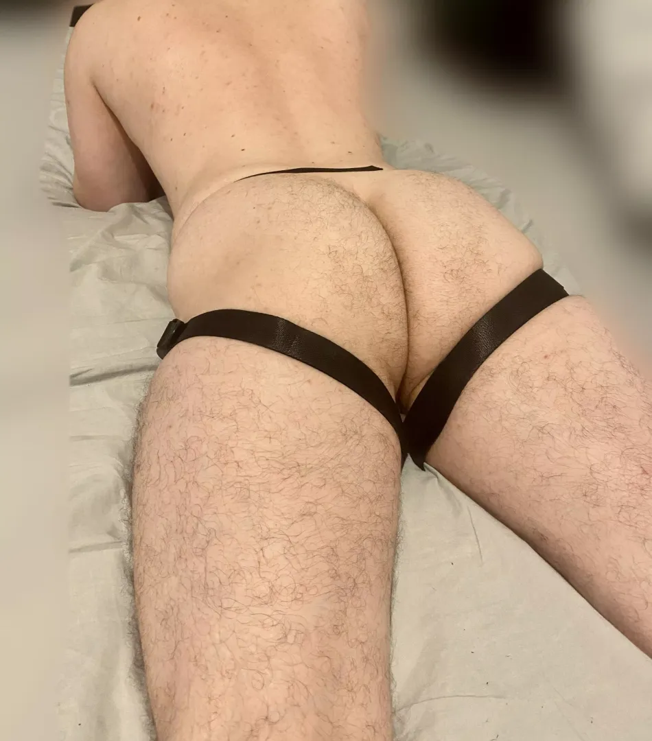 Hairy trans ass is ready for you baby