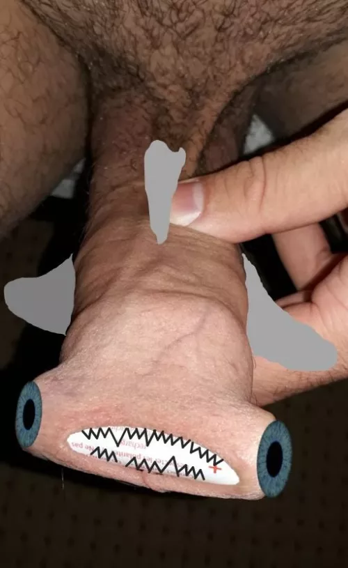 Hammerhead shark