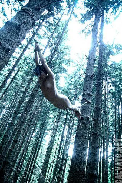 hammock