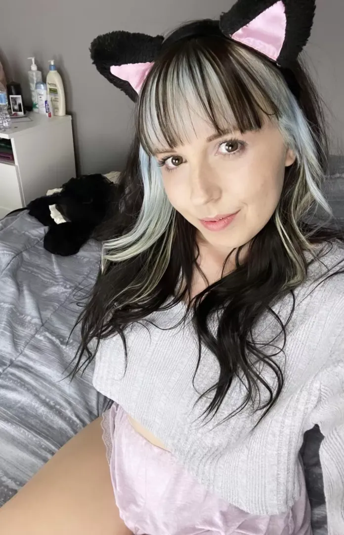 Happy cat today