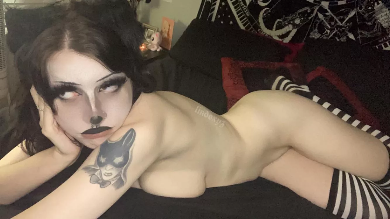 Happy hump day ;3