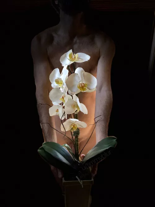 Happy International Women’s Day to all the sexy ladies of ONMWW. 😊