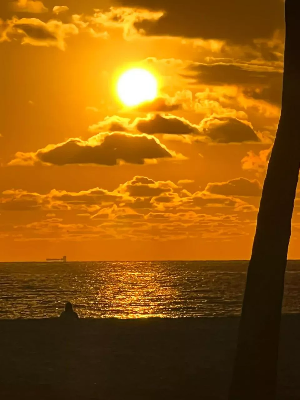 Happy new year to everyone 💕😍💖