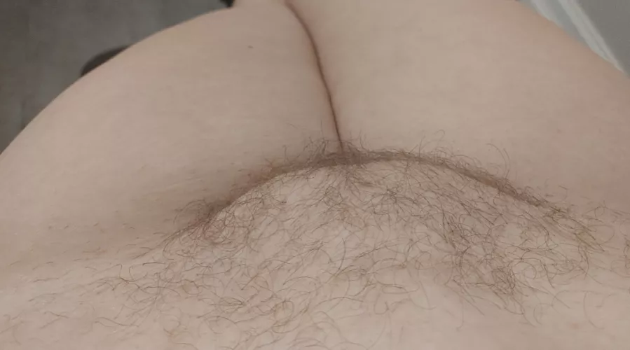 Happy Saturday, here's my bush!